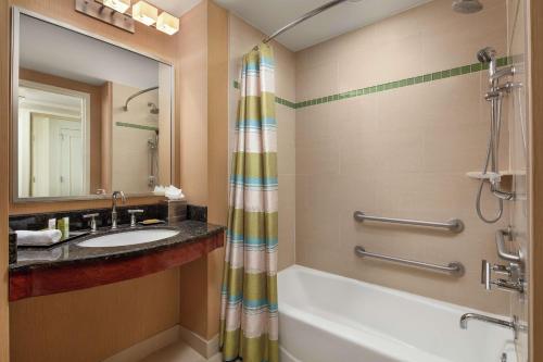 奥兰多奥兰多希尔顿酒店的带浴缸、水槽和镜子的浴室