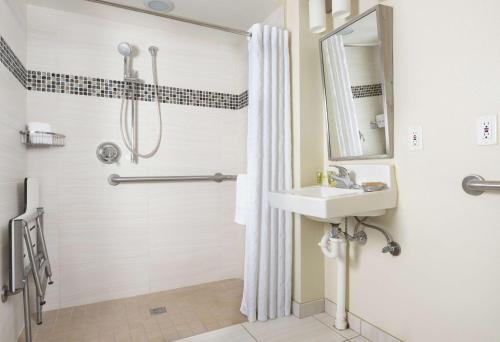 奥兰多Hilton Grand Vacations Club SeaWorld Orlando的一间带水槽和淋浴的浴室