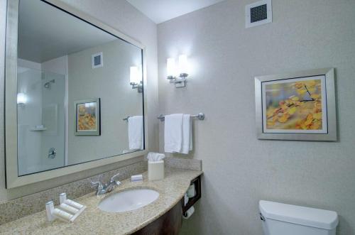 诺沃克诺沃克希尔顿花园酒店的一间带水槽、镜子和卫生间的浴室