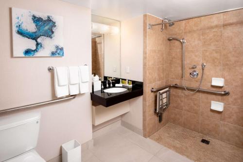 圣地亚哥圣地亚哥机场哈勃尔岛希尔顿酒店的带淋浴、卫生间和盥洗盆的浴室