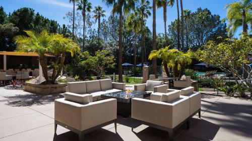 圣地亚哥DoubleTree by Hilton San Diego Del Mar的庭院配有白色的椅子和桌子,种有棕榈树