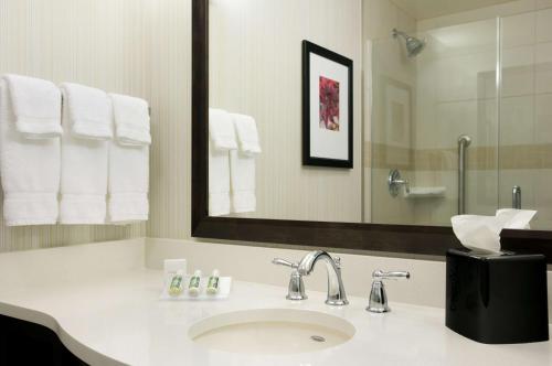 奥本奥本希尔顿花园酒店的浴室配有盥洗盆、镜子和毛巾