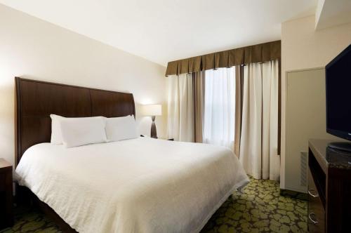 奥本奥本希尔顿花园酒店的酒店客房设有一张大床和一台电视。