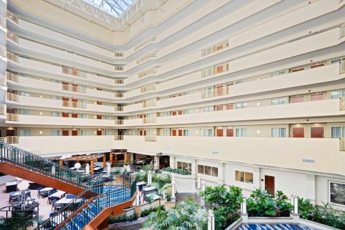 坦帕Embassy Suites by Hilton Tampa USF Near Busch Gardens的建筑物中庭的顶部景观