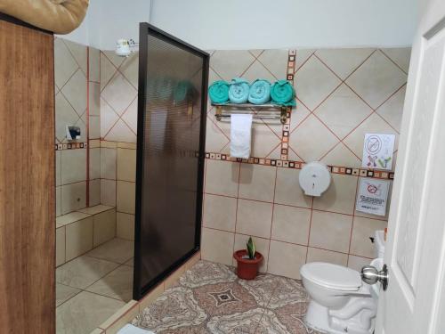 DesamparadosGran Hotel Desamparados的带淋浴和卫生间的浴室。