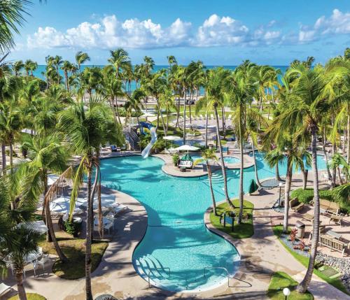 庞塞庞塞希尔顿度假酒店的棕榈树度假村泳池的空中景致