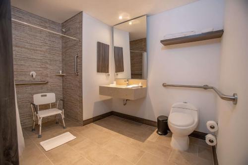 巴耶杜帕尔巴耶杜帕尔希尔顿欢朋酒店的浴室配有卫生间、盥洗盆和淋浴。