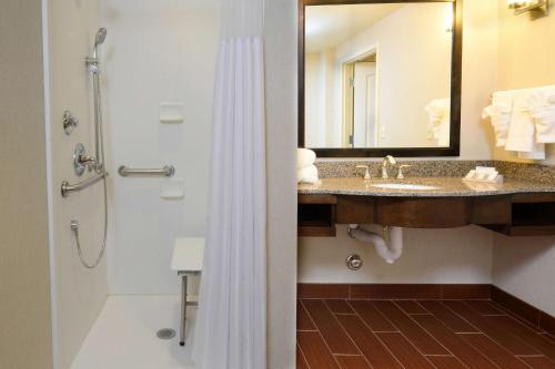 格林斯伯勒格林斯博罗机场希尔顿花园酒店的浴室配有盥洗盆和带镜子的淋浴