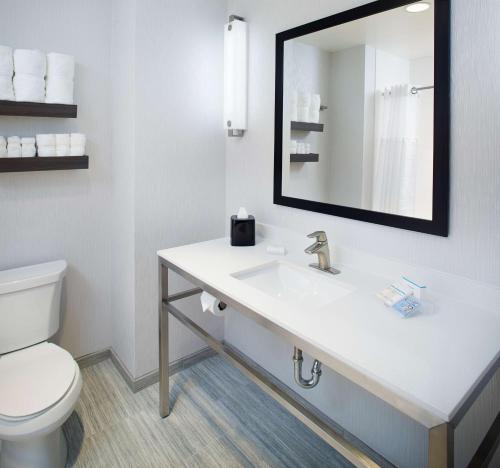 阿林顿Hilton Garden Inn Dallas/Arlington South的一间带水槽、卫生间和镜子的浴室