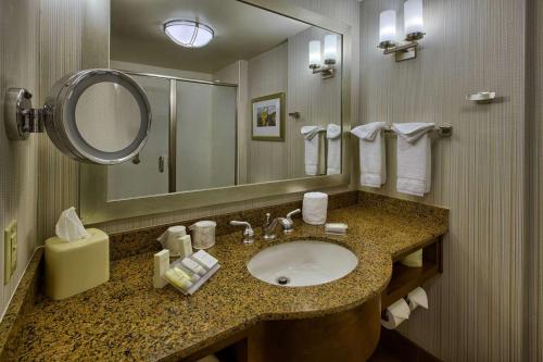达拉姆达勒姆大学医学中心希尔顿花园酒店的一间带水槽和镜子的浴室