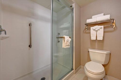 阿尔伯克基阿尔布开克机场希尔顿惠庭套房酒店的一间带卫生间和玻璃淋浴间的浴室