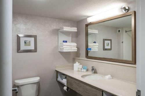 韦科Hampton Inn Waco North的一间带水槽、镜子和卫生间的浴室