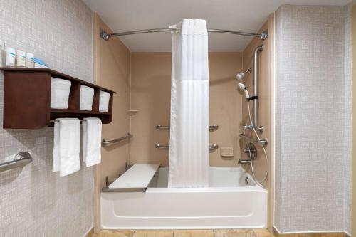 丹佛丹佛国际机场汉普顿旅馆的浴室配有浴缸和淋浴及浴帘