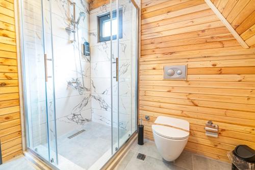 ElmalıkAronia Bungalow的一间带卫生间和玻璃淋浴间的浴室