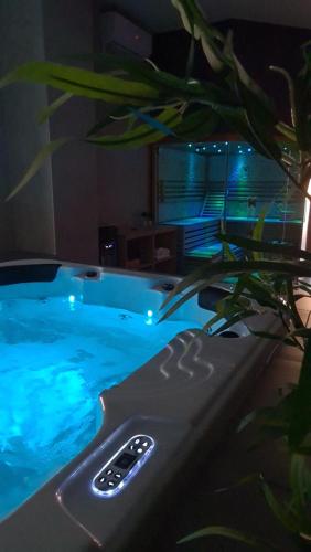 奥西耶克Luxury wellness apartment SHA的植物游泳池的遥控器