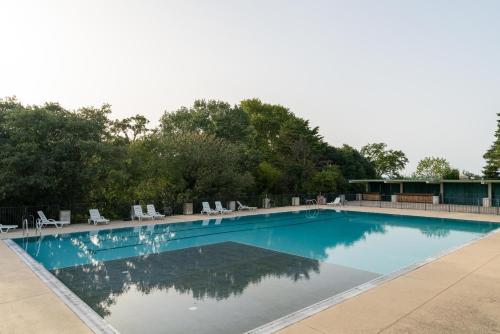 尼姆Studio Camargue的一个带椅子和树木的大型游泳池