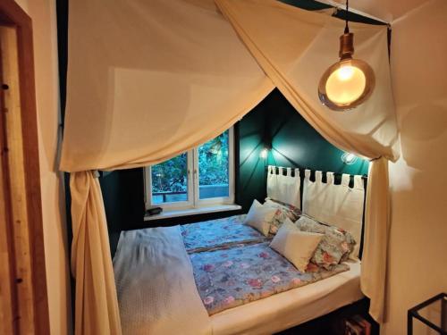 布达佩斯Nookbed的卧室的天蓬床,带窗户