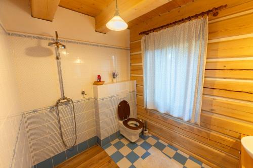 温佩尔克Moderní šumavská roubenka s výhledem na Boubín的一间带卫生间和淋浴的浴室。