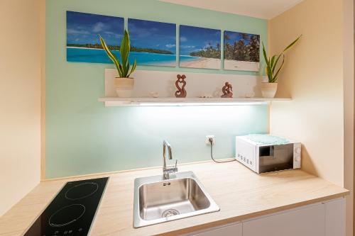 格拉茨Beach Design City Apartment Graz的厨房配有水槽和台面上的微波炉