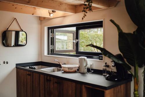 阿纳姆Tiny Dream House的厨房设有水槽和窗户。