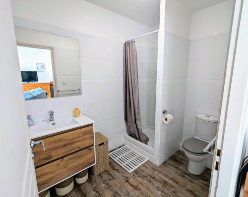 圣吉尔莱班Sunset Océan - appartement T2 avec vue imprenable sur l'océan et piscine的浴室配有卫生间、盥洗盆和淋浴。