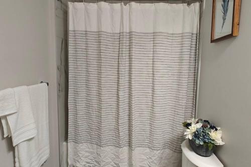 艾尔德里BlissfulAbode Basement Suite的设有带卫生间的浴室内的淋浴帘