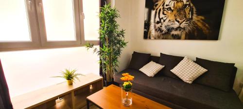 马德里Oshun Plaza Castilla的客厅配有沙发和老虎图片