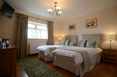 LlanyreBell Country Inn的一间卧室设有两张床和窗户。