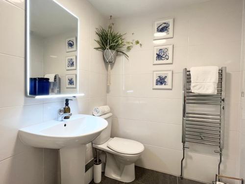 彭赞斯Après Beach Apartment Sleeps 4 Penzance的白色的浴室设有水槽和卫生间。