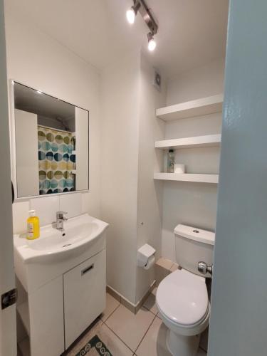 科皮亚波Atacama Valley 6的白色的浴室设有水槽和卫生间。