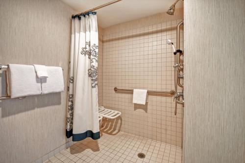 斯蒂尔沃特万豪斯蒂尔沃特原住客栈酒店的带淋浴和浴帘的浴室