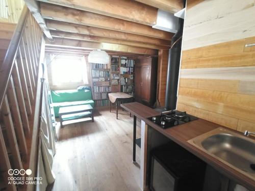 RoguesLa Laouze - Small wooden house Eco-Low-tech的客房内设有带水槽和炉灶的厨房