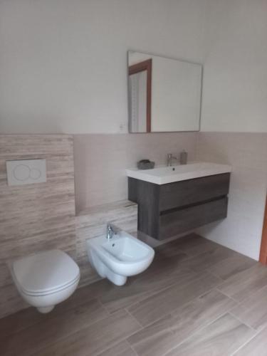 Baraggia di BocaIL VECCHIO CAMINO的一间带卫生间、水槽和镜子的浴室
