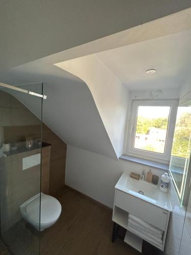布鲁塞尔Elegance & Comfort Brand New Apartment near to Atomium的一间带卫生间、水槽和窗户的浴室