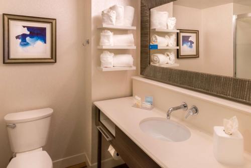 奥兰多东奥兰多UCF汉普顿套房酒店的一间带水槽、卫生间和镜子的浴室