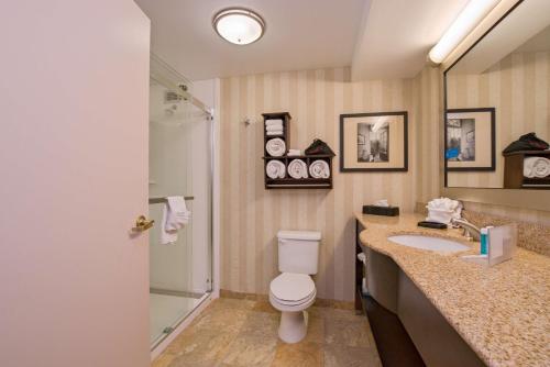 朴茨茅斯朴茨茅斯中心汉普顿酒店的浴室配有卫生间、盥洗盆和淋浴。