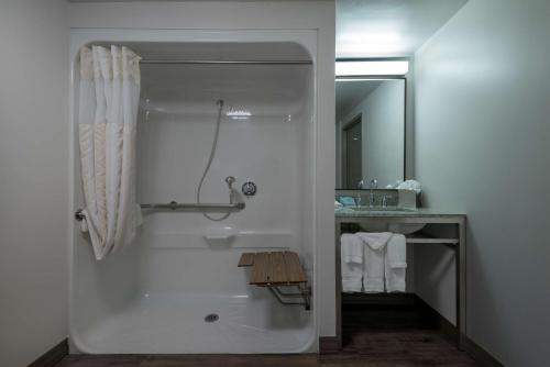 奥因斯米尔斯希尔顿奥因斯米尔斯花园酒店（Hilton Garden Inn Owings Mills）的带淋浴和盥洗盆的浴室