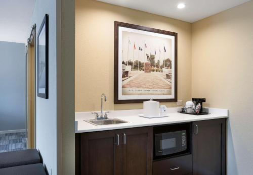 米尔堡南卡罗莱纳米尔堡汉普顿酒店及套房的一间带水槽的浴室和墙上的照片