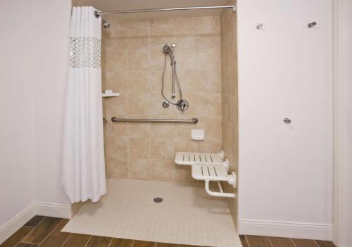 罗斯维尔明尼苏达州罗斯维尔明尼阿波利斯汉普顿酒店的带淋浴和浴帘的浴室