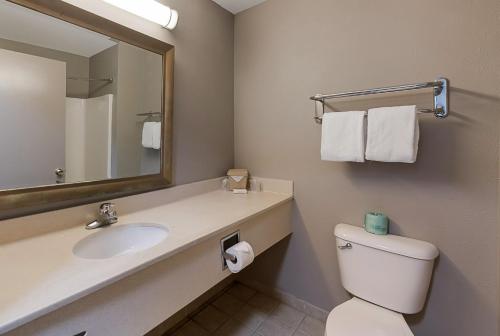 约克镇Red Roof Inn Newport News - Yorktown的一间带水槽、卫生间和镜子的浴室