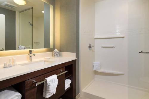 拉斯维加斯拉斯维加斯机场原住客栈酒店的一间带水槽和淋浴的浴室