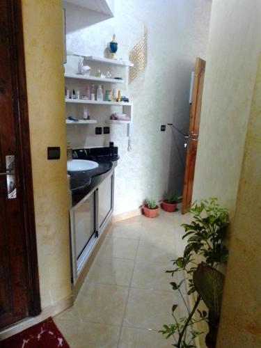 梅克内斯Meknès kamilia的浴室设有水槽和植物台面