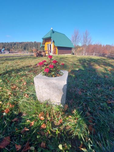 扎布利亚克杜米托尔别墅山林小屋的花盆,在田野上,有房子在后面