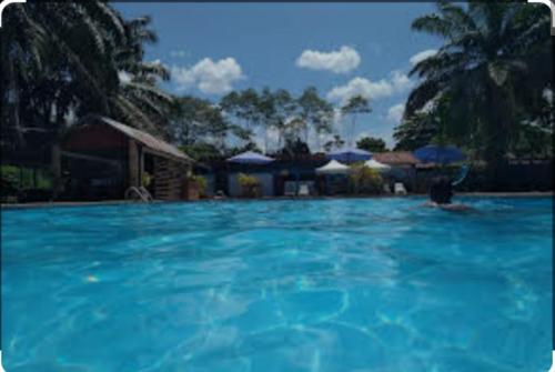 普卡尔帕Lodge del Abuelo - Divina Montaña的一座拥有房屋和棕榈树的大型蓝色海水游泳池