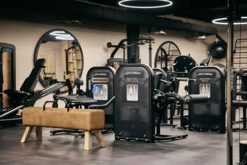 巴特法兴格Holzapfel的健身房里有很多健身器材