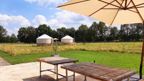 LedeackerMagnolia Hoeve - overnachten in de natuur op een paarden resort的野餐桌,带雨伞和帐篷