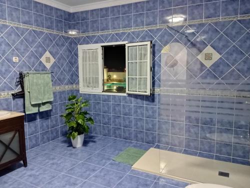 TuinejeCasa Noa的浴室设有蓝色瓷砖墙壁和窗户。