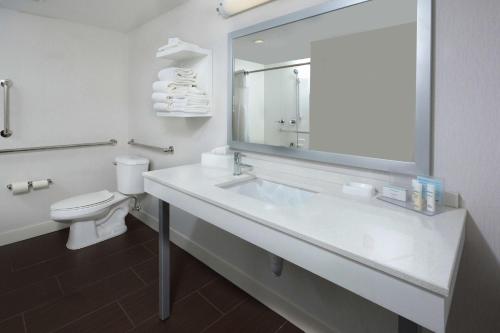 Archdale海波因特汉普顿酒店的一间带水槽、卫生间和镜子的浴室
