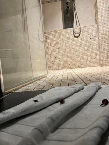 鲁贝Diane Luxury 1的一间带淋浴的浴室,地板上配有床垫