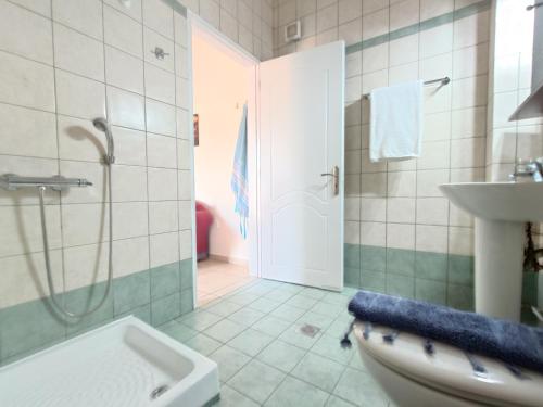 瓦西Iris Apartments Ithaca的带淋浴、卫生间和盥洗盆的浴室
